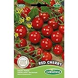 Germisem Tomate RED CHERRY, mehrfarbig, EC8004